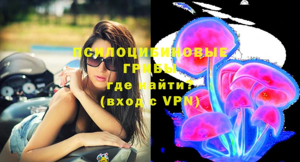 прущий лед Аркадак