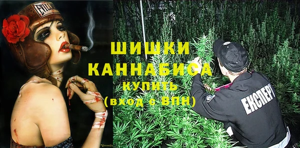 дмт Арсеньев