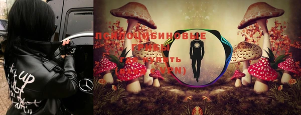 дживик Армянск